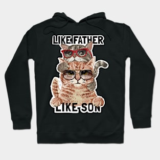 Father and son slogan with cat family in sunglasses Hoodie